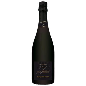 Nathalie Falmet ZH 302 Pinot Meunier